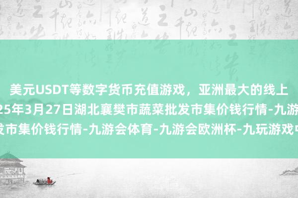 美元USDT等数字货币充值游戏,亚洲最大的线上游戏服务器供应商2025年3月27日湖北襄樊市蔬菜批发市集价钱行情-九游会体育-九游会欧洲杯-九玩游戏中心官网