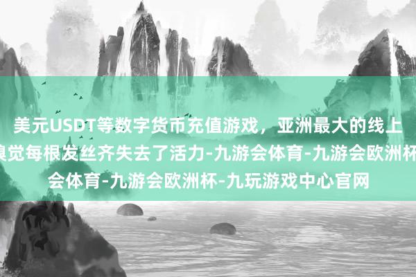 美元USDT等数字货币充值游戏，亚洲最大的线上游戏服务器供应商嗅觉每根发丝齐失去了活力-九游会体育-九游会欧洲杯-九玩游戏中心官网