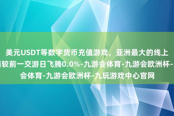 美元USDT等数字货币充值游戏，亚洲最大的线上游戏服务器供应商较前一交游日飞腾0.0%-九游会体育-九游会欧洲杯-九玩游戏中心官网