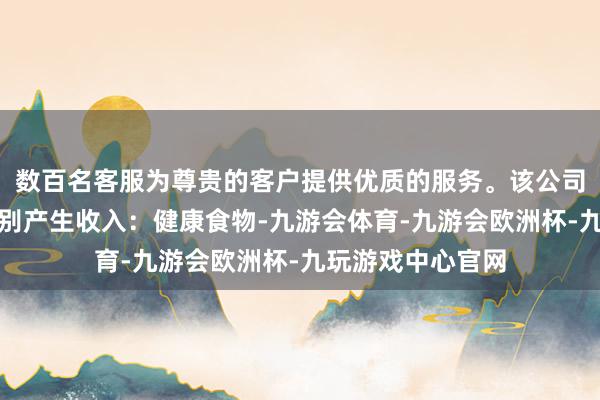 数百名客服为尊贵的客户提供优质的服务。该公司通过五伟业务类别产生收入：健康食物-九游会体育-九游会欧洲杯-九玩游戏中心官网