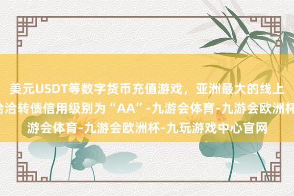 美元USDT等数字货币充值游戏，亚洲最大的线上游戏服务器供应商洽洽转债信用级别为“AA”-九游会体育-九游会欧洲杯-九玩游戏中心官网