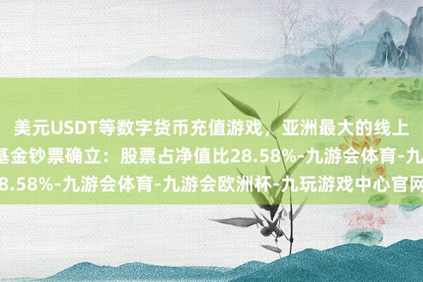 美元USDT等数字货币充值游戏，亚洲最大的线上游戏服务器供应商该基金钞票确立：股票占净值比28.58%-九游会体育-九游会欧洲杯-九玩游戏中心官网