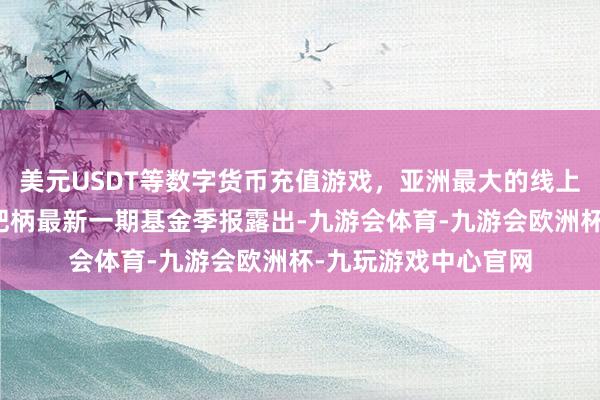 美元USDT等数字货币充值游戏，亚洲最大的线上游戏服务器供应商把柄最新一期基金季报露出-九游会体育-九游会欧洲杯-九玩游戏中心官网