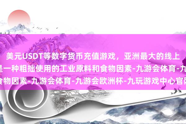 美元USDT等数字货币充值游戏，亚洲最大的线上游戏服务器供应商淀粉是一种粗拙使用的工业原料和食物因素-九游会体育-九游会欧洲杯-九玩游戏中心官网