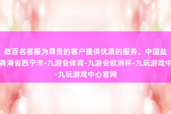 数百名客服为尊贵的客户提供优质的服务。中国盐湖位于青海省西宁市-九游会体育-九游会欧洲杯-九玩游戏中心官网