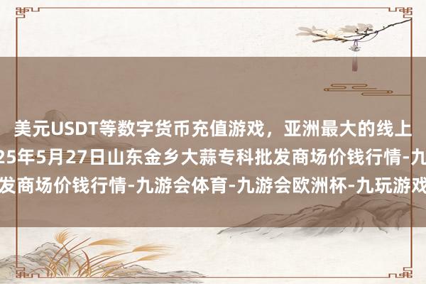 美元USDT等数字货币充值游戏，亚洲最大的线上游戏服务器供应商2025年5月27日山东金乡大蒜专科批发商场价钱行情-九游会体育-九游会欧洲杯-九玩游戏中心官网