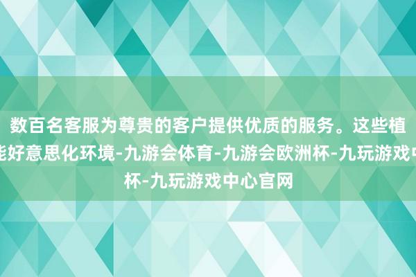 数百名客服为尊贵的客户提供优质的服务。这些植物不仅能好意思化环境-九游会体育-九游会欧洲杯-九玩游戏中心官网