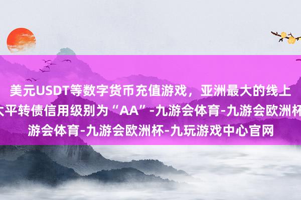 美元USDT等数字货币充值游戏，亚洲最大的线上游戏服务器供应商太平转债信用级别为“AA”-九游会体育-九游会欧洲杯-九玩游戏中心官网