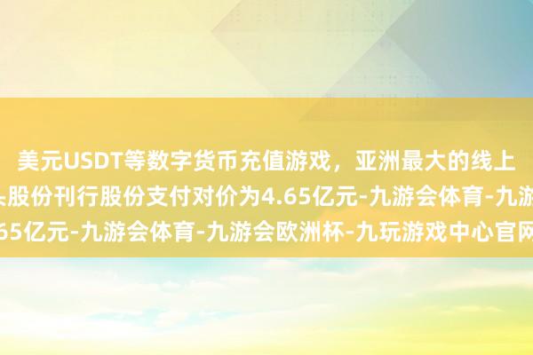 美元USDT等数字货币充值游戏，亚洲最大的线上游戏服务器供应商狮头股份刊行股份支付对价为4.65亿元-九游会体育-九游会欧洲杯-九玩游戏中心官网