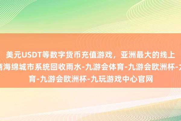 美元USDT等数字货币充值游戏，亚洲最大的线上游戏服务器供应商海绵城市系统回收雨水-九游会体育-九游会欧洲杯-九玩游戏中心官网