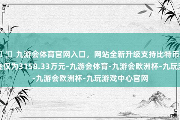 🦄九游会体育官网入口，网站全新升级支持比特币而账面货币资金仅为3158.33万元-九游会体育-九游会欧洲杯-九玩游戏中心官网