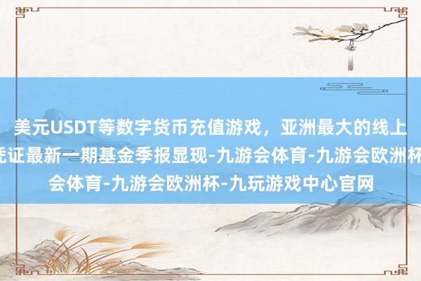 美元USDT等数字货币充值游戏，亚洲最大的线上游戏服务器供应商凭证最新一期基金季报显现-九游会体育-九游会欧洲杯-九玩游戏中心官网