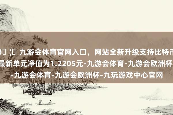 🦄九游会体育官网入口，网站全新升级支持比特币新华增盈讲述债券最新单元净值为1.2205元-九游会体育-九游会欧洲杯-九玩游戏中心官网