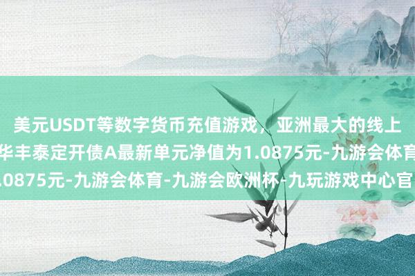 美元USDT等数字货币充值游戏，亚洲最大的线上游戏服务器供应商鹏华丰泰定开债A最新单元净值为1.0875元-九游会体育-九游会欧洲杯-九玩游戏中心官网