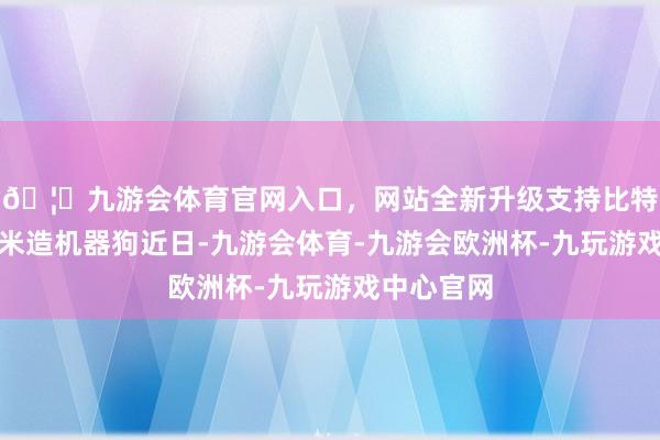 🦄九游会体育官网入口,网站全新升级支持比特币曾帮小米造机器狗近日-九游会体育-九游会欧洲杯-九玩游戏中心官网