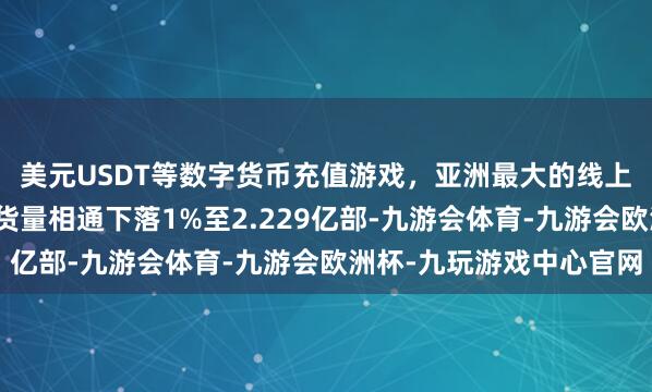美元USDT等数字货币充值游戏，亚洲最大的线上游戏服务器供应商出货量相通下落1%至2.229亿部-九游会体育-九游会欧洲杯-九玩游戏中心官网
