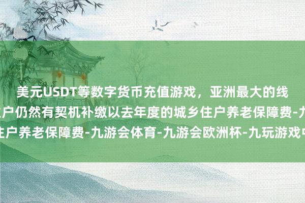 美元USDT等数字货币充值游戏，亚洲最大的线上游戏服务器供应商住户仍然有契机补缴以去年度的城乡住户养老保障费-九游会体育-九游会欧洲杯-九玩游戏中心官网