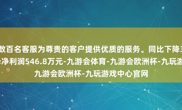 数百名客服为尊贵的客户提供优质的服务。同比下降3.89%；归母净利润546.8万元-九游会体育-九游会欧洲杯-九玩游戏中心官网