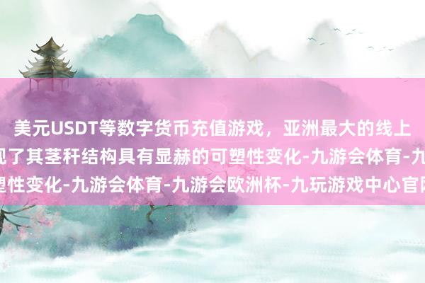 美元USDT等数字货币充值游戏，亚洲最大的线上游戏服务器供应商还发现了其茎秆结构具有显赫的可塑性变化-九游会体育-九游会欧洲杯-九玩游戏中心官网