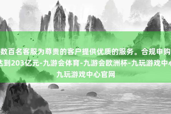 数百名客服为尊贵的客户提供优质的服务。合规申购金额达到203亿元-九游会体育-九游会欧洲杯-九玩游戏中心官网